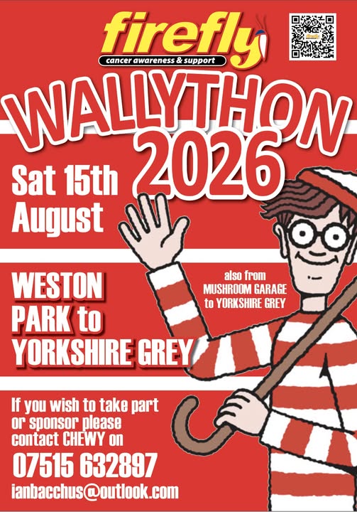 Wallython
